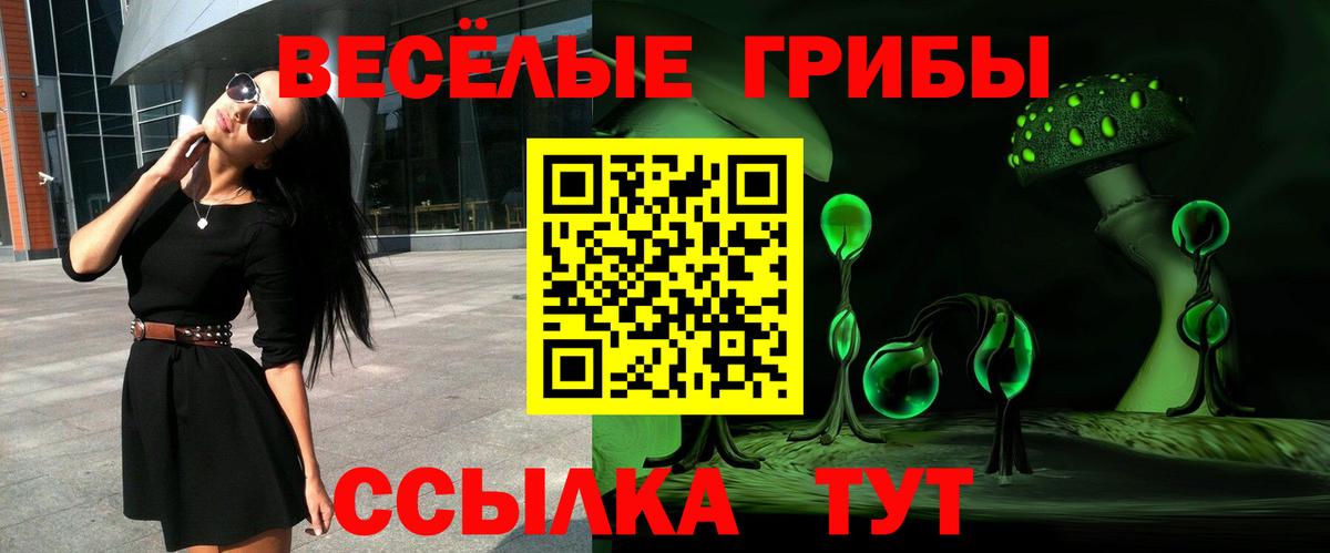 Псилоцибиновые грибы Psilocybine cubensis Отрадное